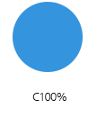 C100%