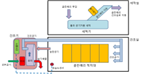 페루 골든베리-2